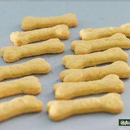 寻宠记宠物零食店加盟全解析 宠物饼干市场的黄金投资机遇