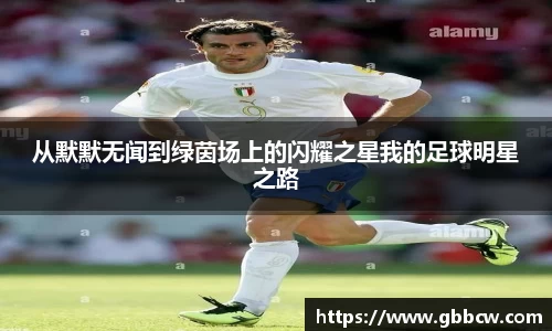 从默默无闻到绿茵场上的闪耀之星我的足球明星之路