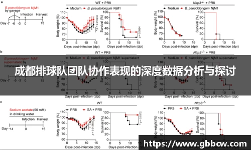 成都排球队团队协作表现的深度数据分析与探讨
