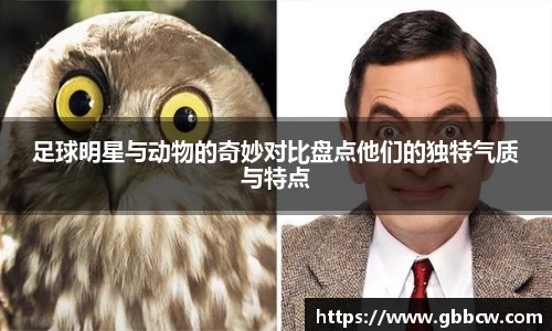 足球明星与动物的奇妙对比盘点他们的独特气质与特点